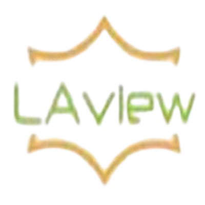 Laview Camera Login