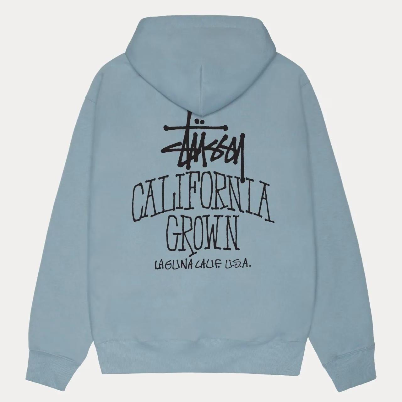 Officilastussy Storeusa